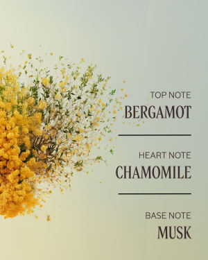 Barbotine Perfumed Body Lotion