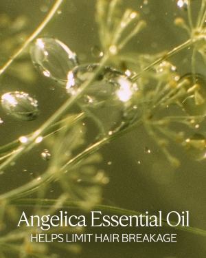 Intensive Repair Shampoo