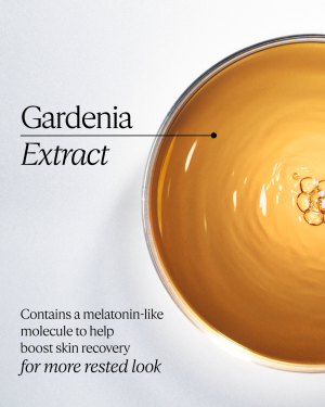 Immortelle Overnight Reset Oil-in-Serum