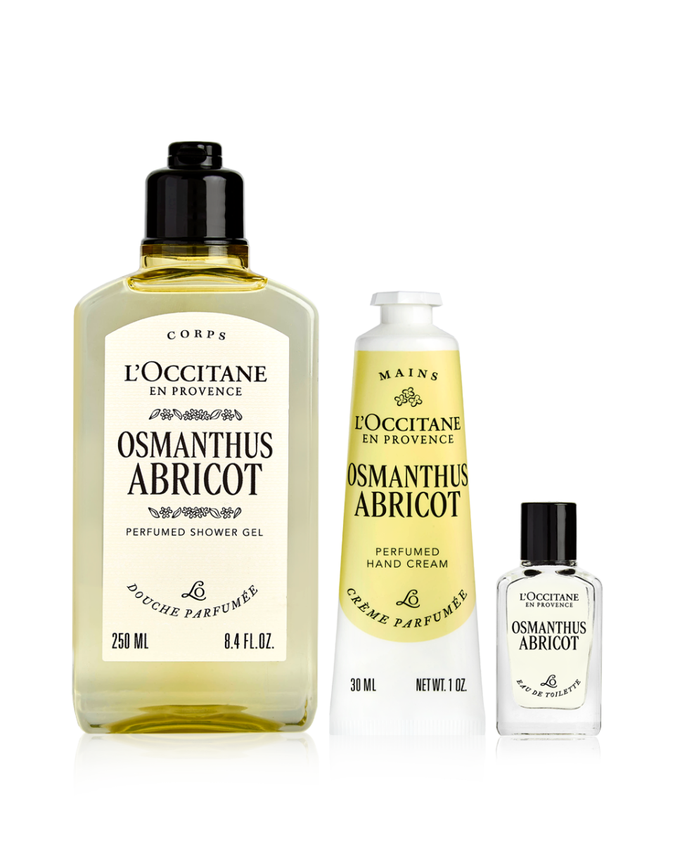 Osmanthus Abricot Trio
